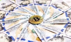 如何使用TPWallet领养新的数